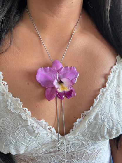 Cattleya de colección
