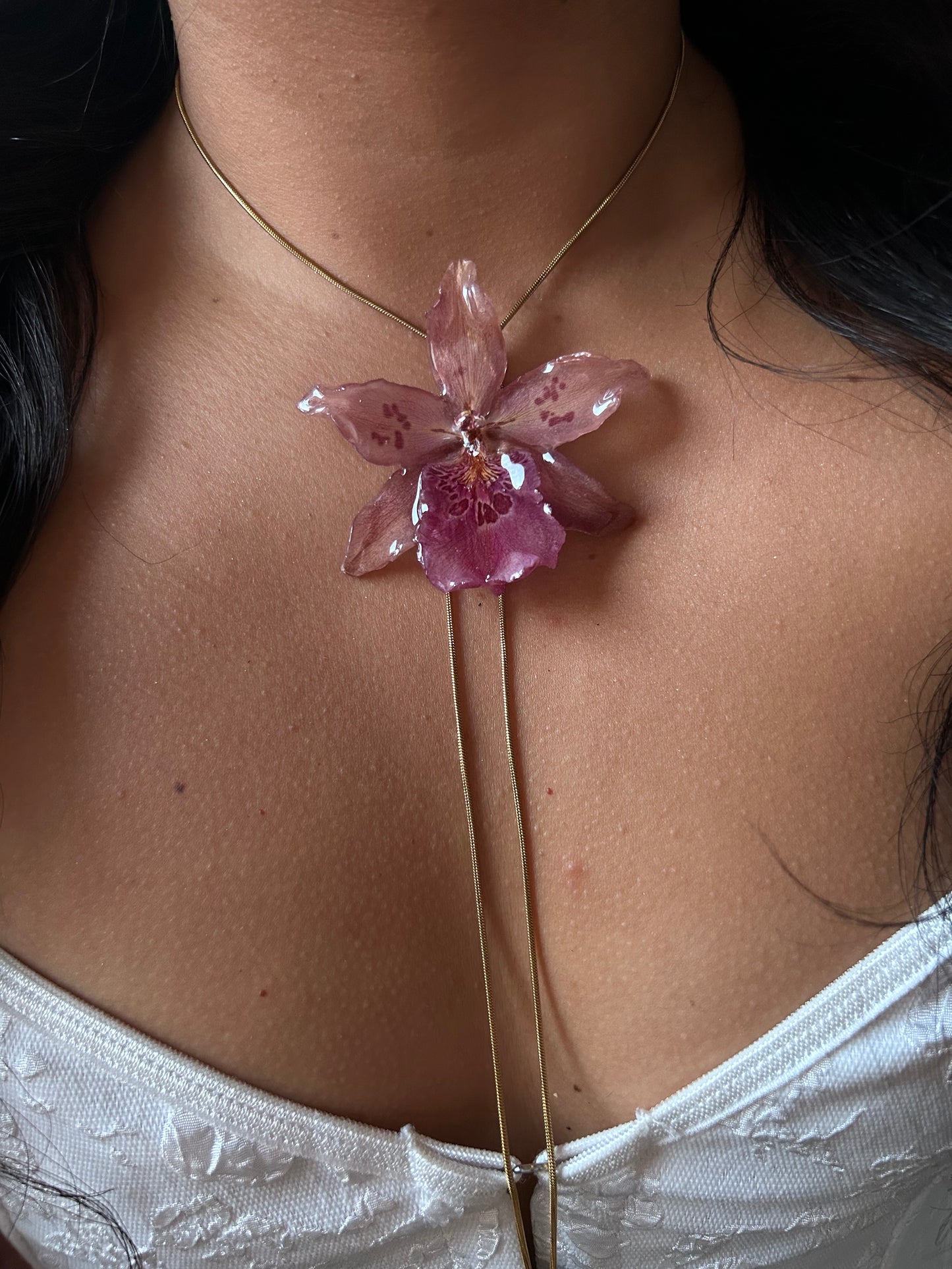 Orchid Beallara pink