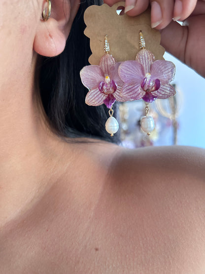 Orquídeas mini Phalaenopsis