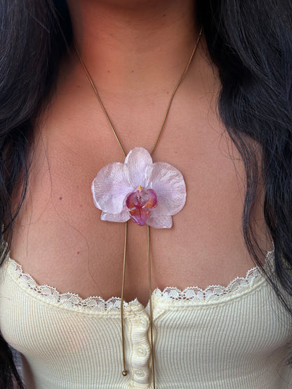 Grand Orchid White