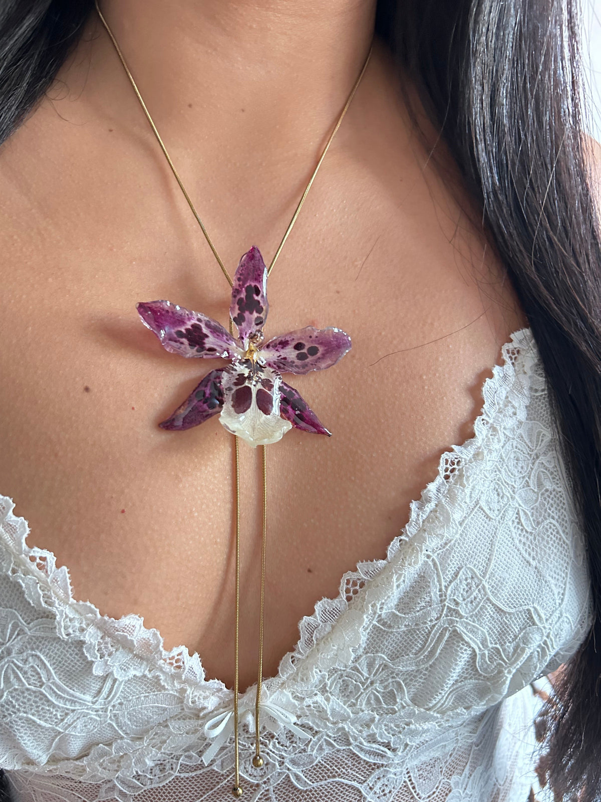 Exotic orchid