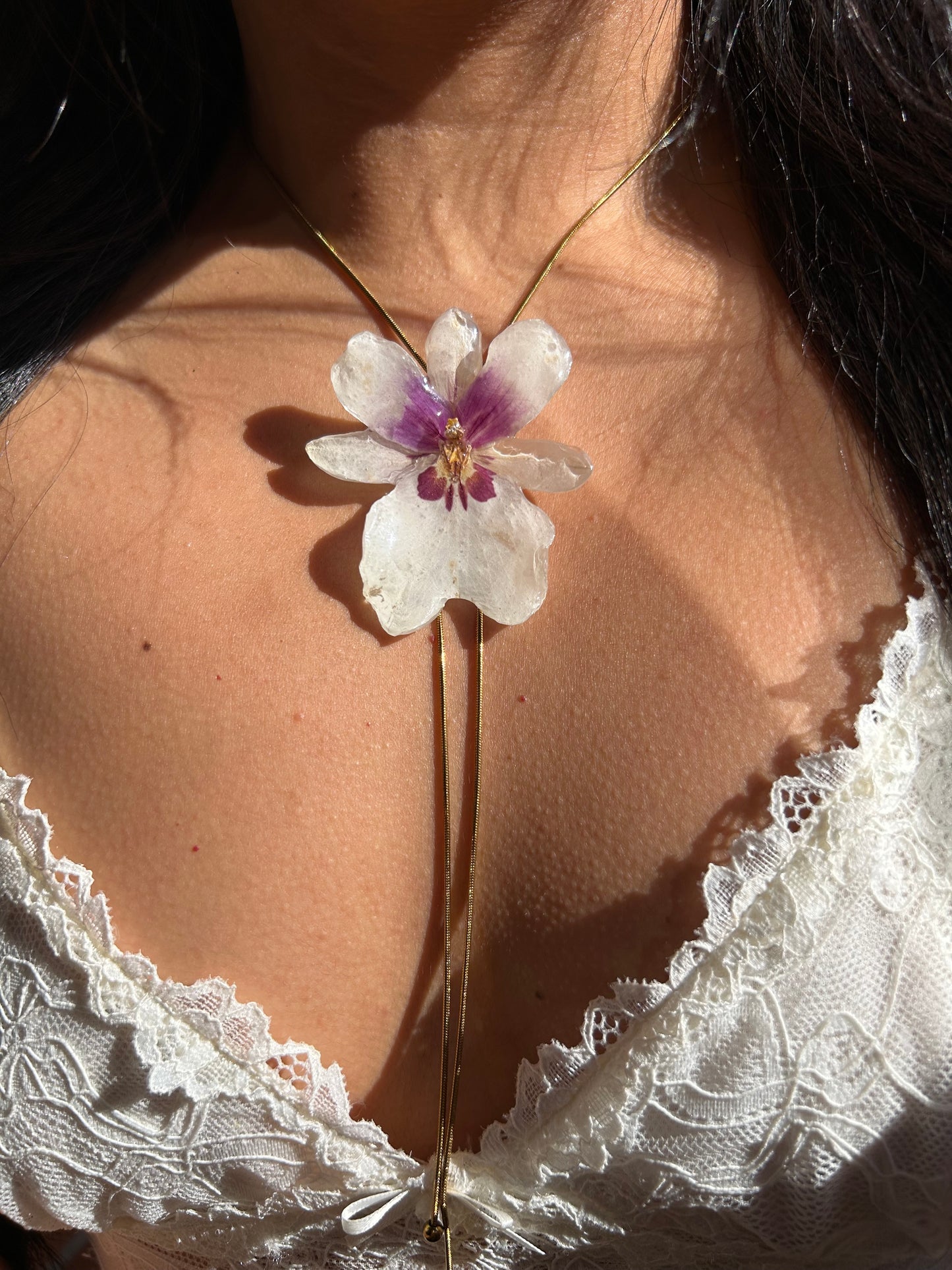 White miltonia orchid