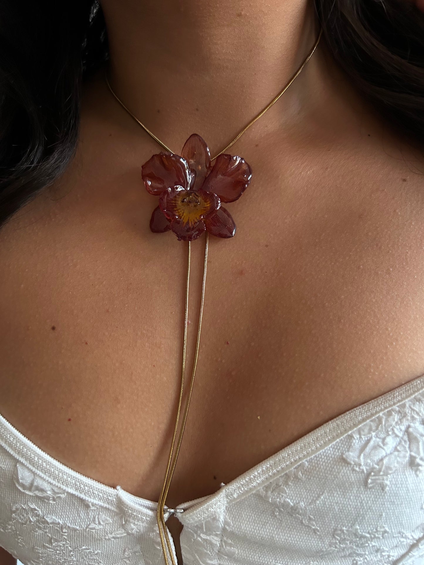 Mini Cattleya wild red