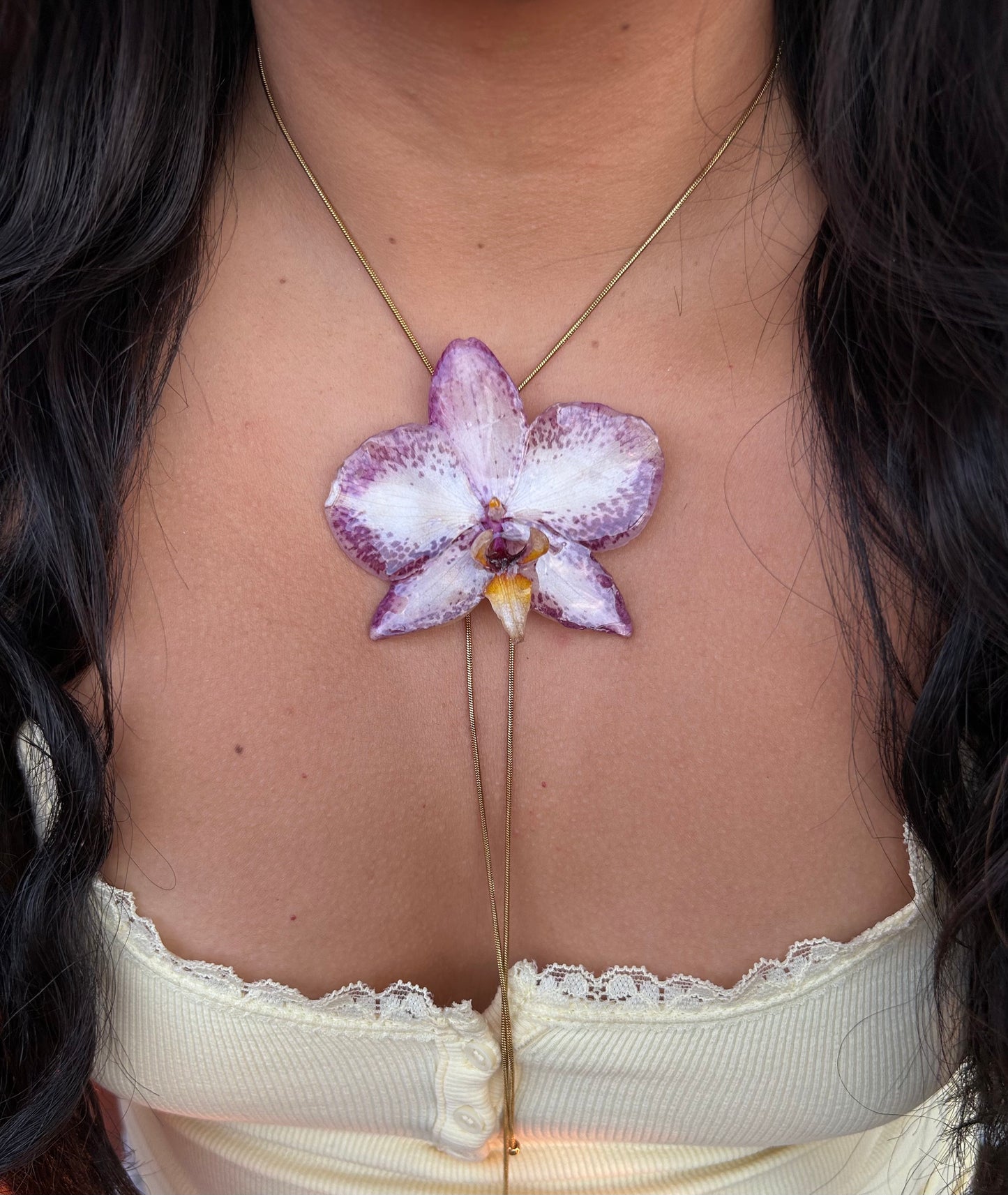 Grand Orchid