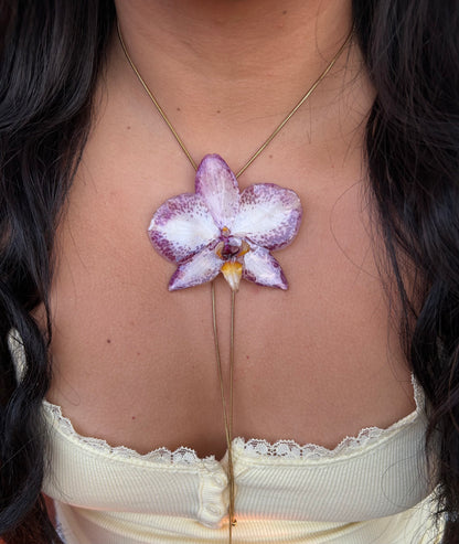 Grand Orchid