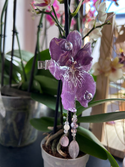 Hair clip Miltonia