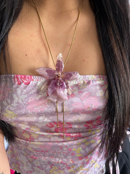 Orchid Beallara