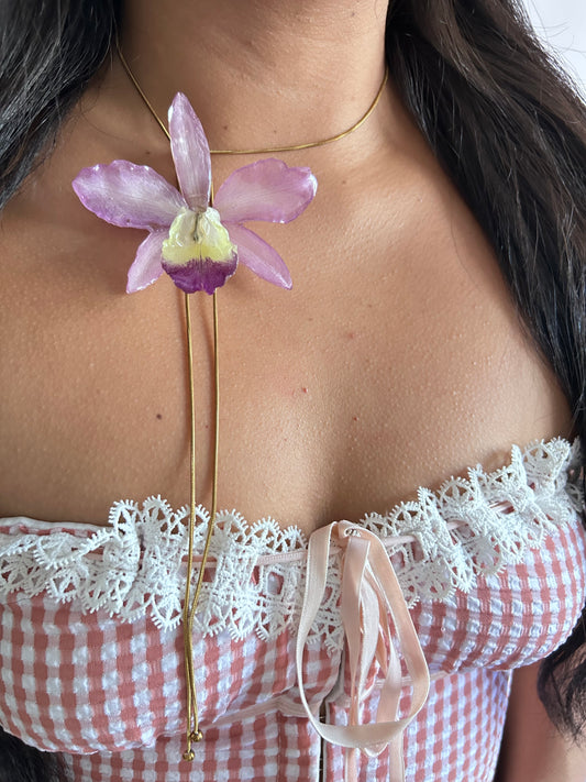 Gran Cattleya