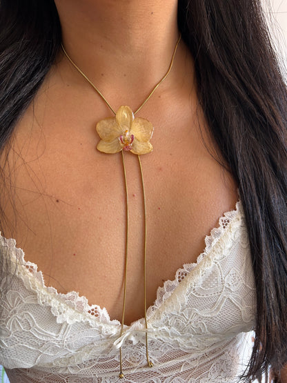 Orchid mini yellow