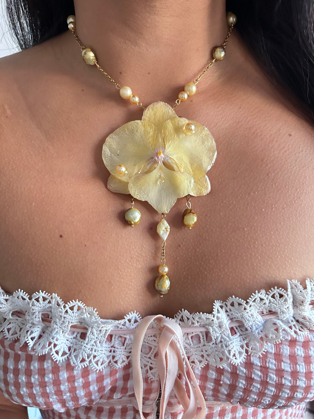 Eternal Spring Orchid