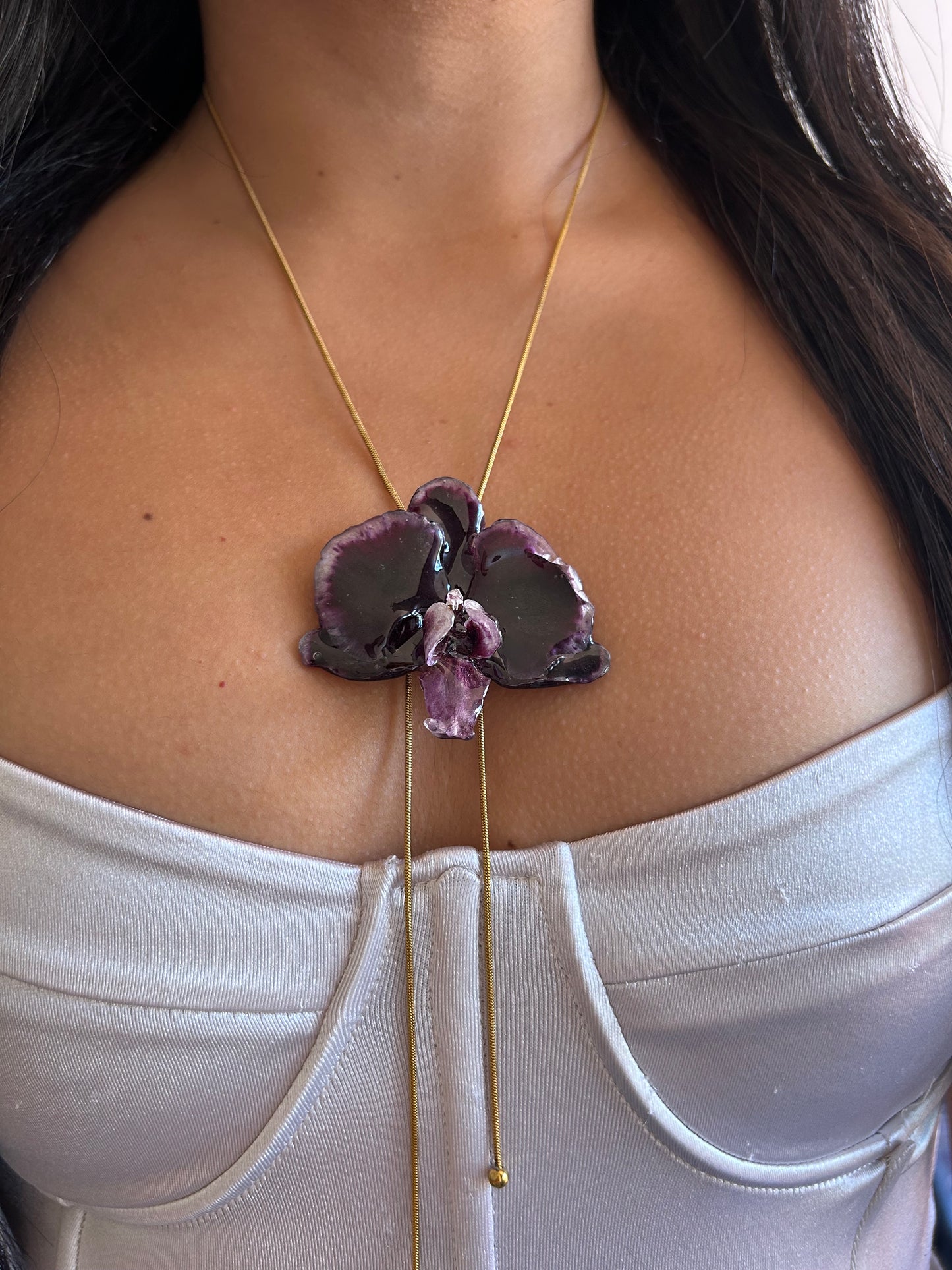 Phalaenopsis dark