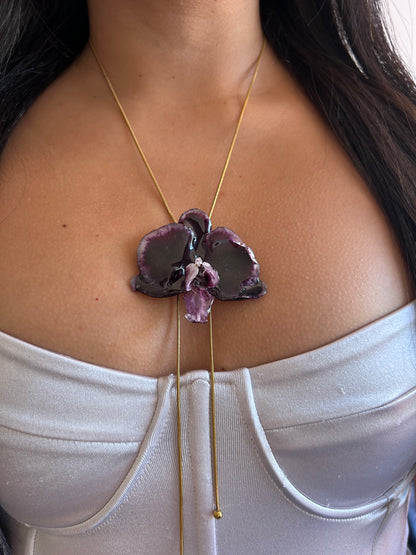 Phalaenopsis dark