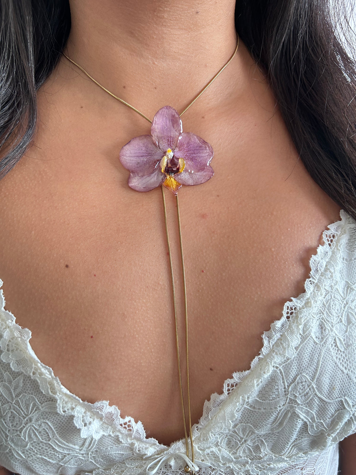 Phalaenopsis pink