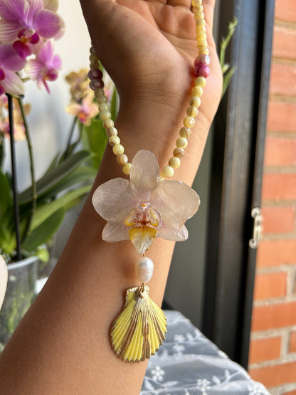 Tropical white orchid