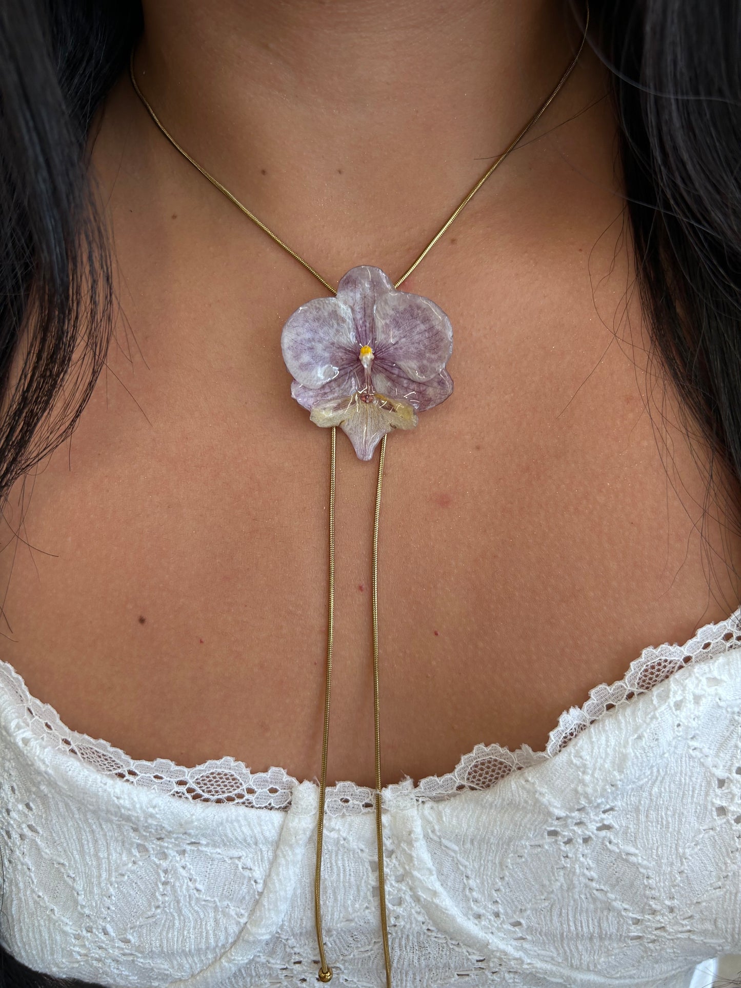 Orchid moteada