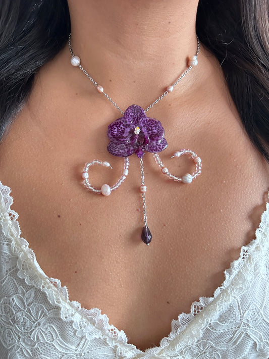 Orquídea encantada