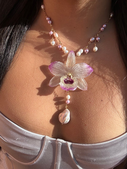 Sweet pink dendrobium orchid