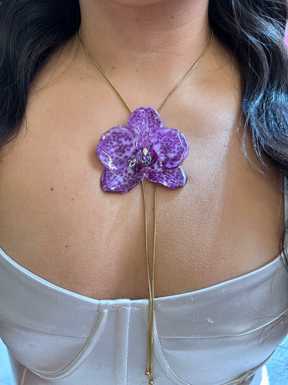 Grand Orchid moteada