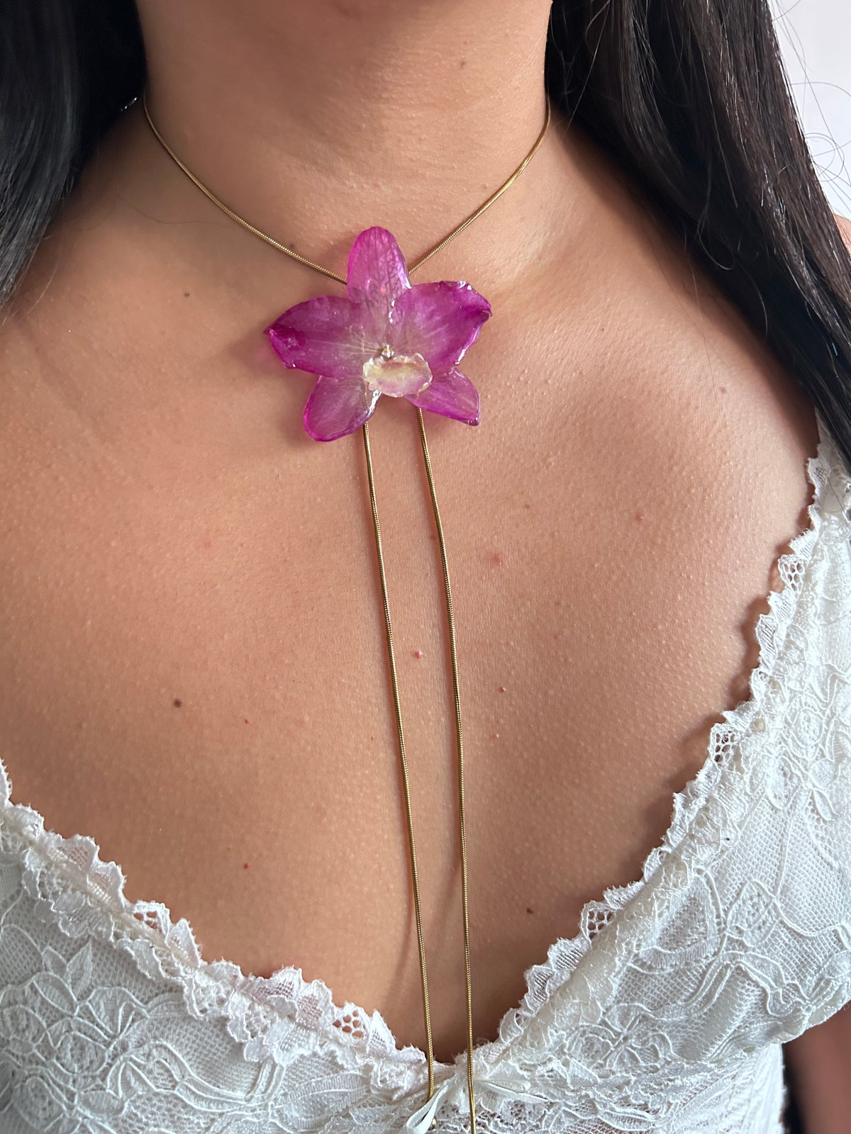 Orchid dendrobium nobile