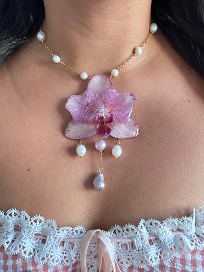 Tropical Orchid