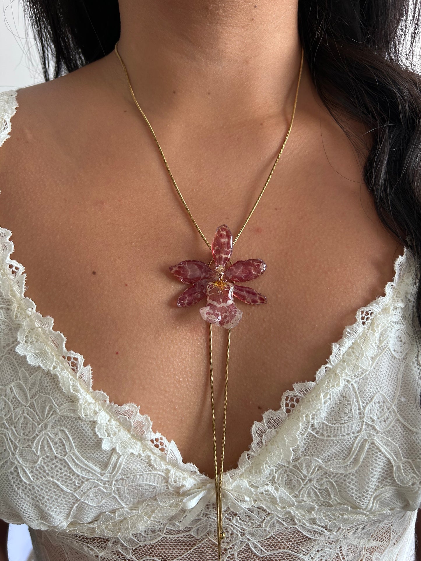 Exotic orchid red