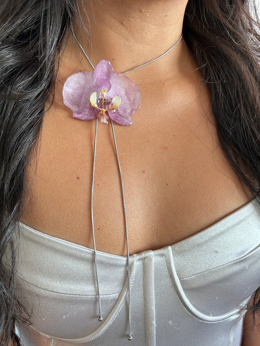 Grand Orchid lilac