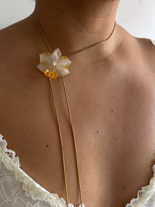 Orchid mini white Orange