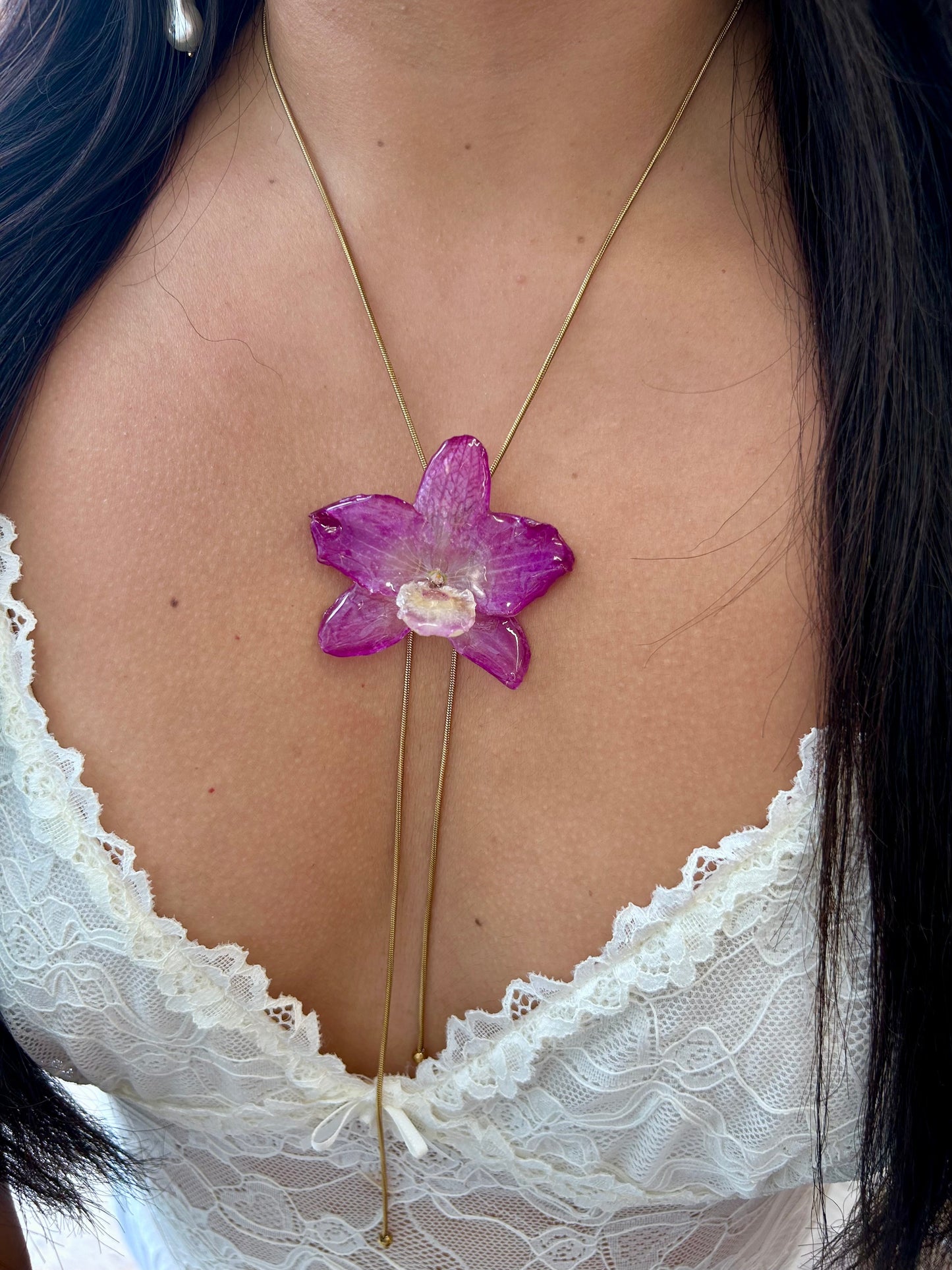 Orchid dendrobium nobile