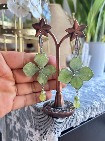 Hortensias green