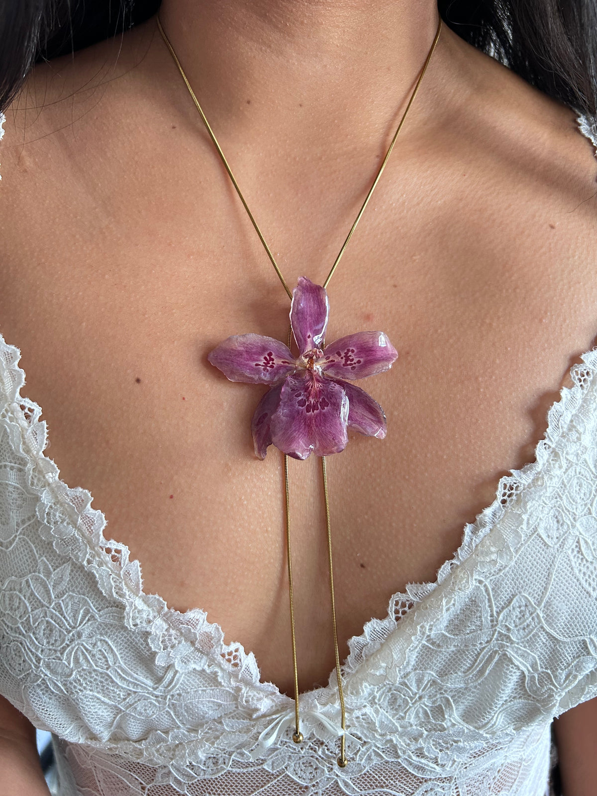 Orchid Beallara pink