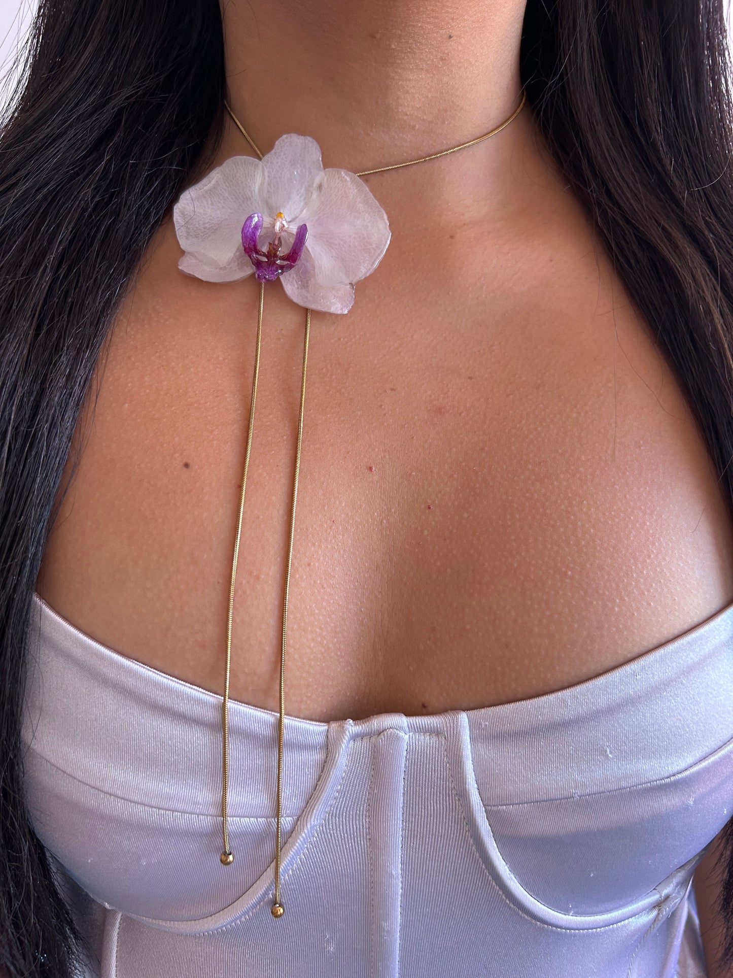 Gran Phalaenopsis white