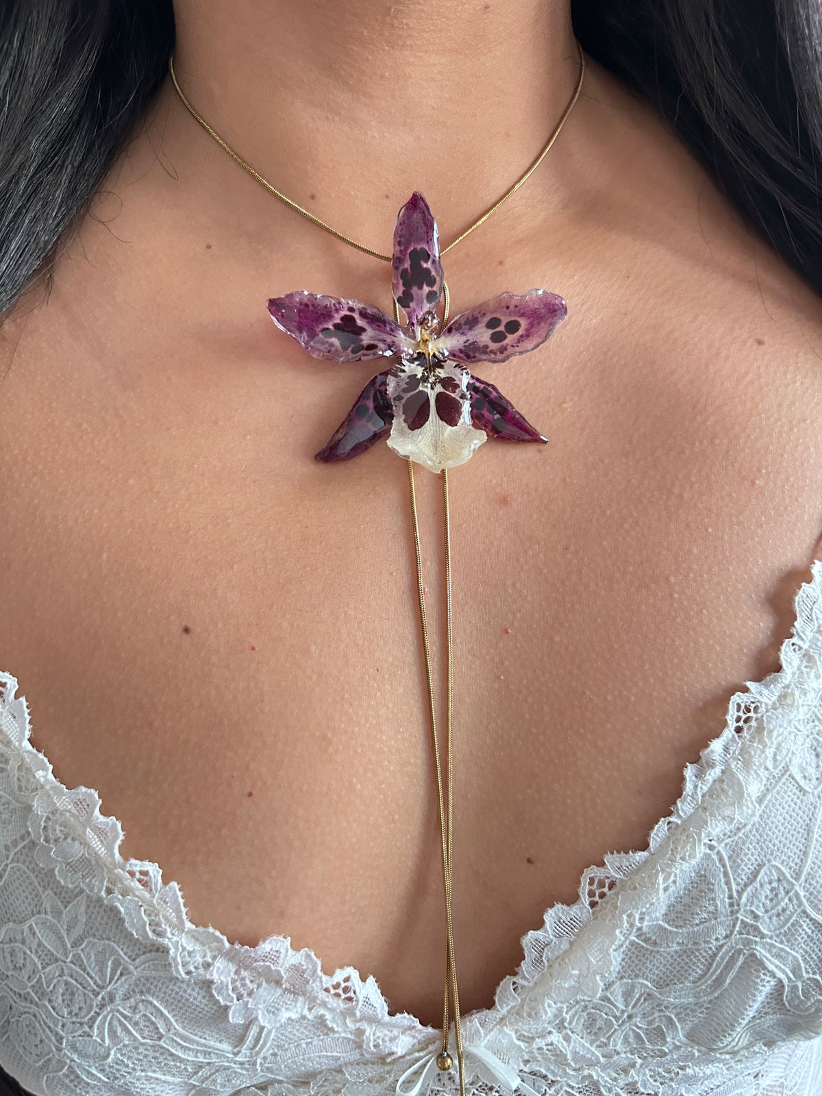 Exotic orchid