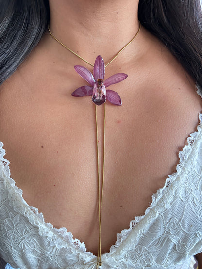 Cymbidium malva