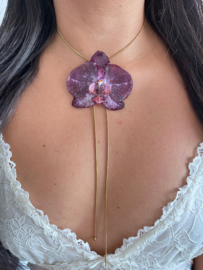 Grand Orchid purple