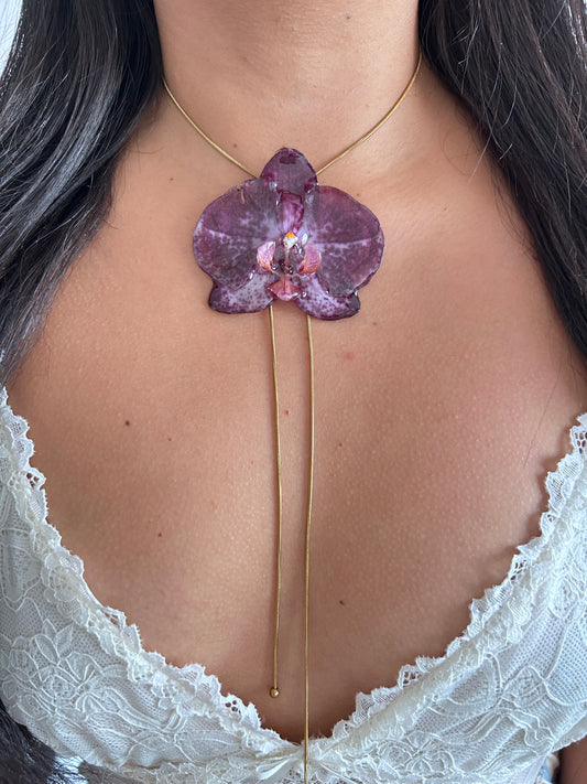 Grand Orchid purple