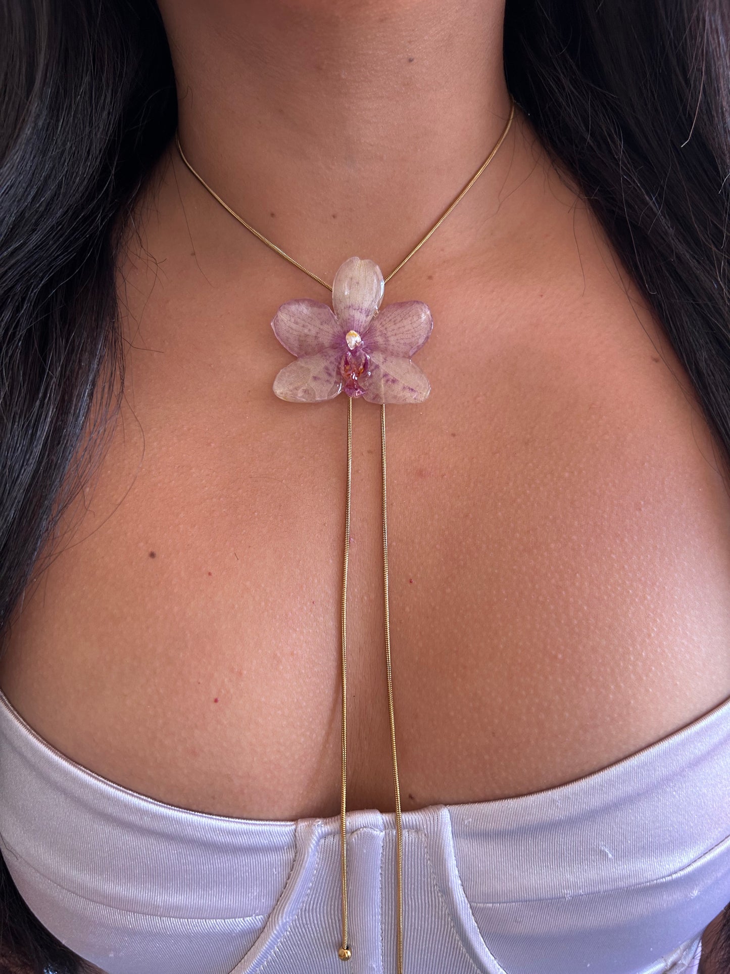 Orchid mini Grosseto