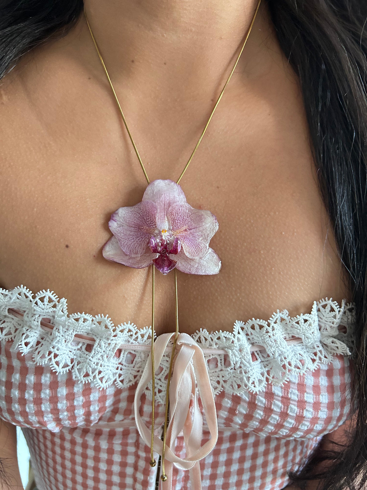Phalaenopsis pink