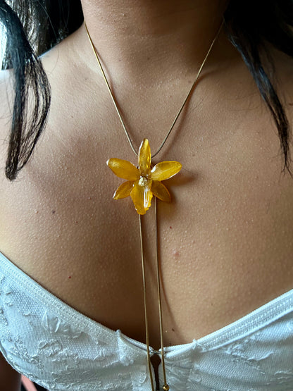 Mini Cattleya