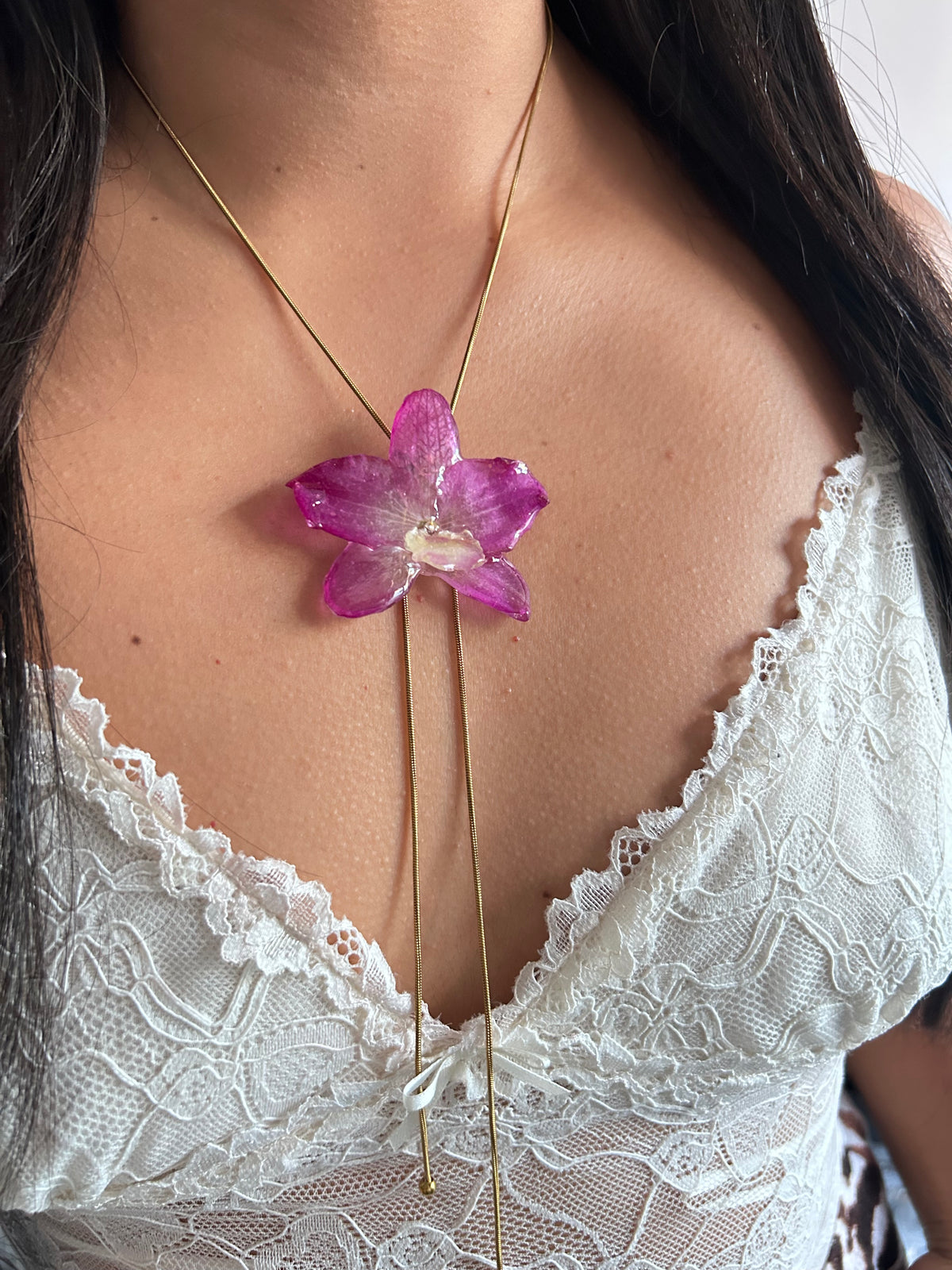 Orchid dendrobium nobile
