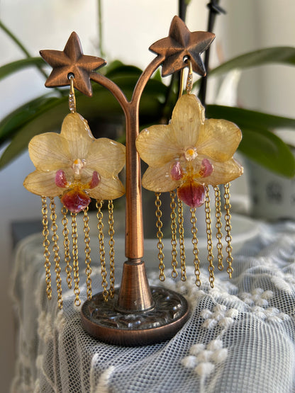 Pastel yellow orchid earrings