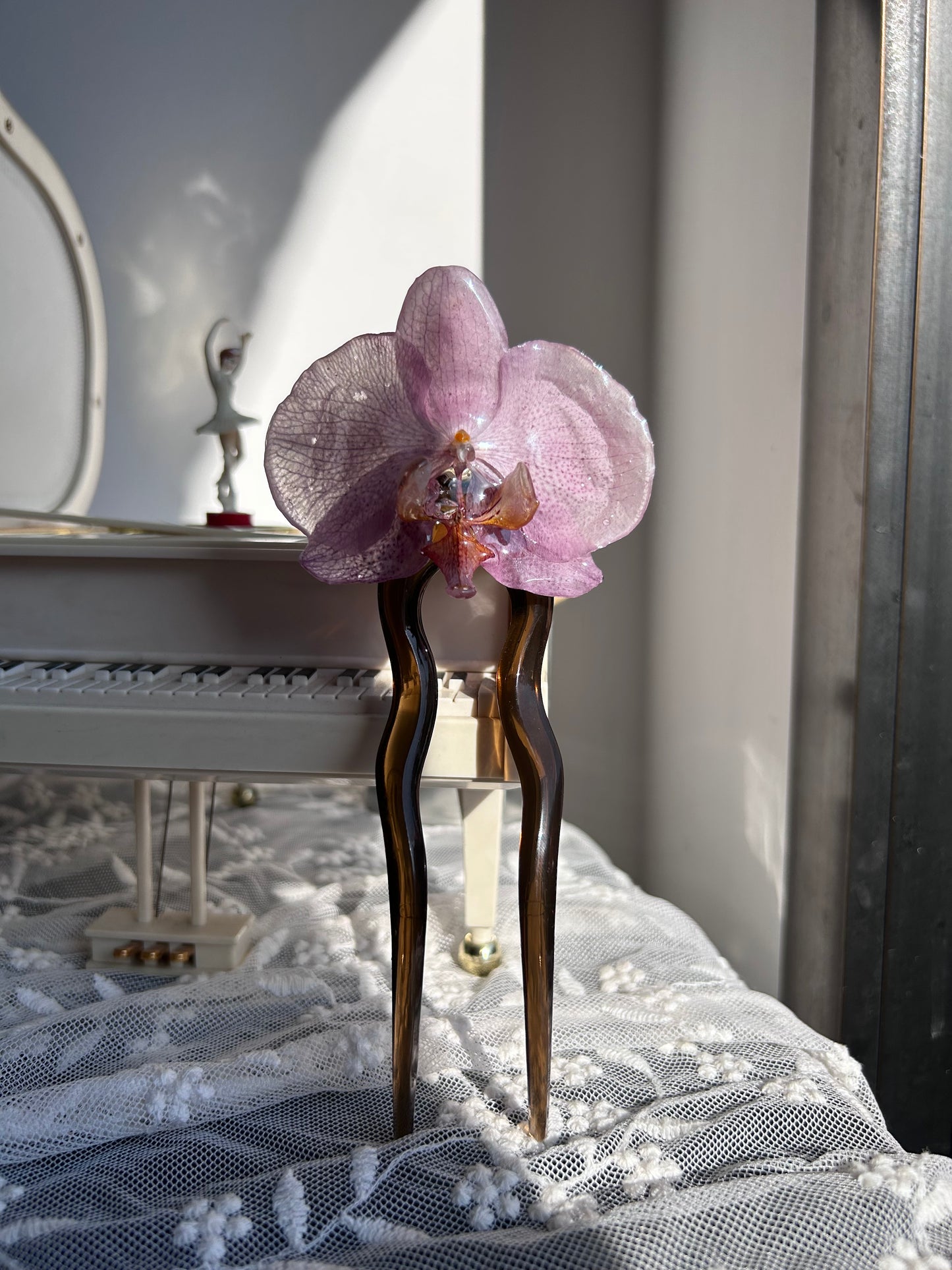 Pinza Phalaenopsis