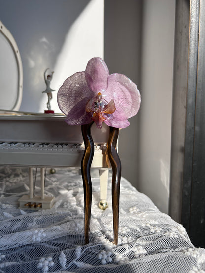 Pinza Phalaenopsis