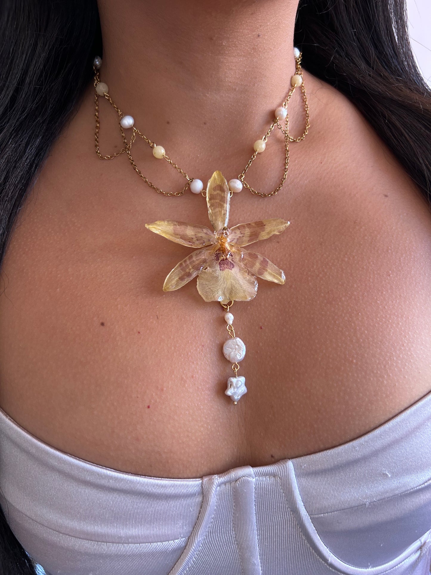 Cambria star