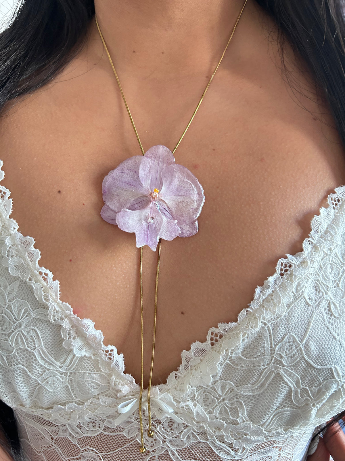 Phalaenopsis suave lila