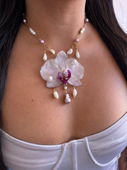 Phalaenopsis 'Rain of Pearls'
