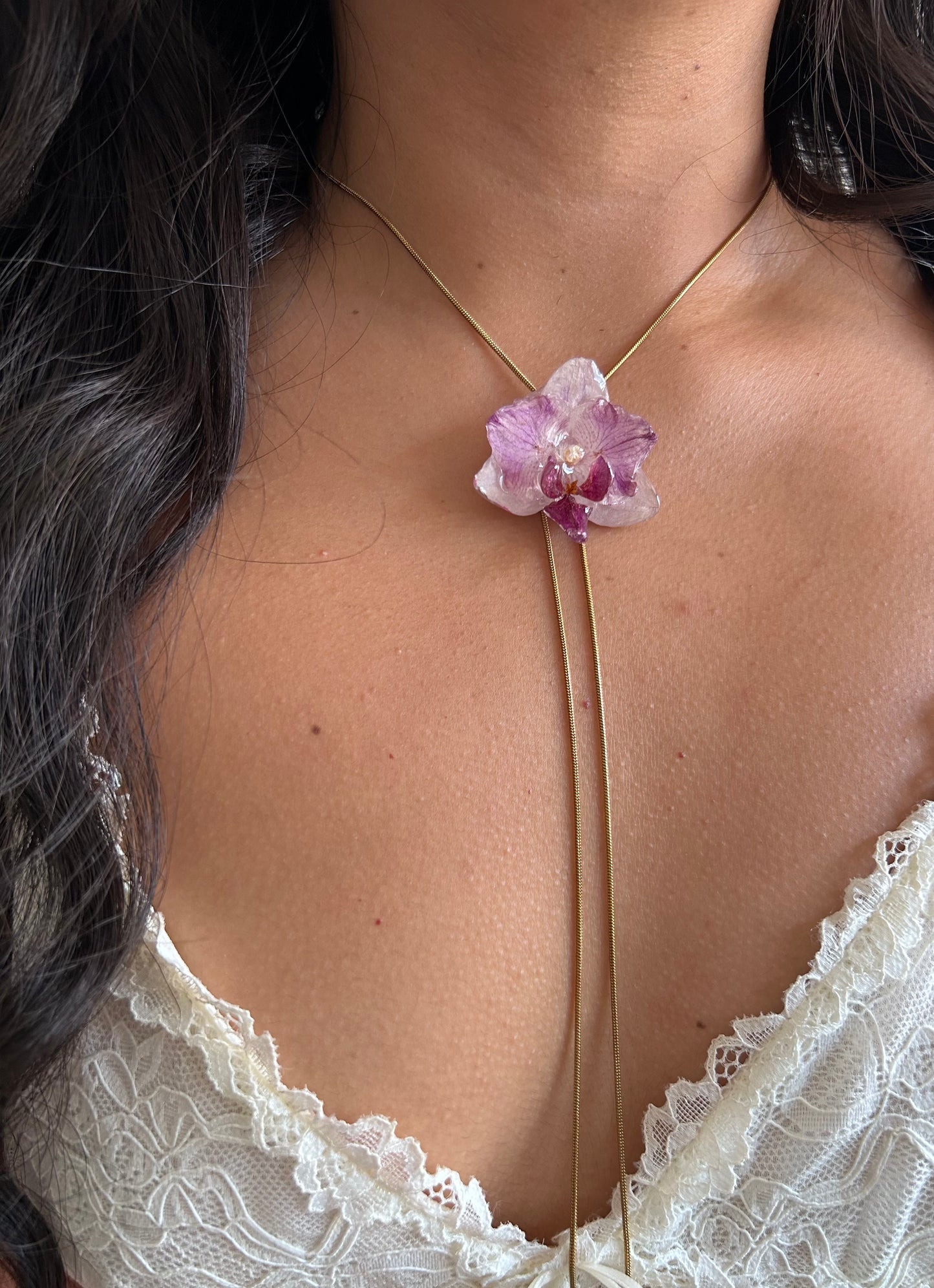 Phalaenopsis mini