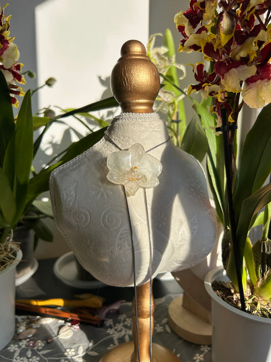 Orchid white