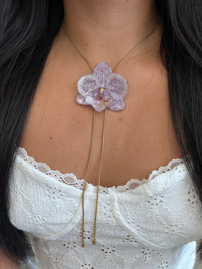 Gran Orchid moteada