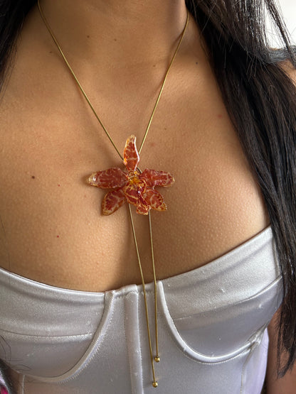 Wild exotic orange orchid
