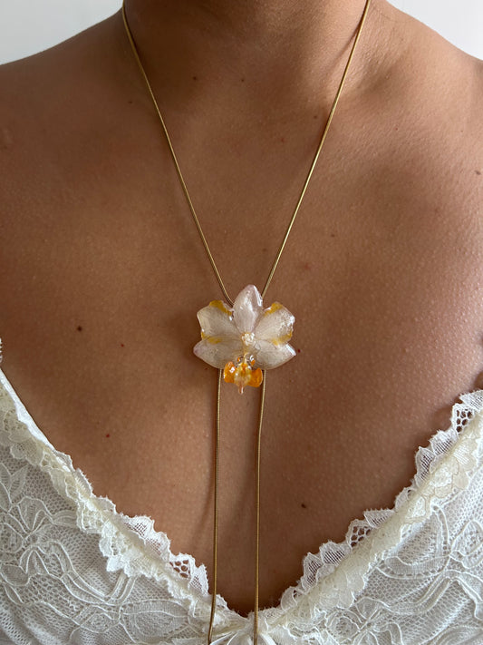 Orchid mini white Orange
